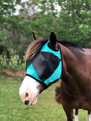 Fly Buster Standard Fly Mask - Turquoise and Black