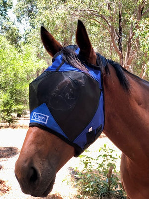 Fly Buster Standard Fly Mask - Royal Blue and Black