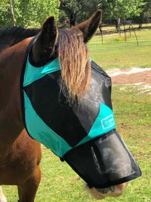 Fly Buster Long Nose Fly Mask - Turquoise and Black