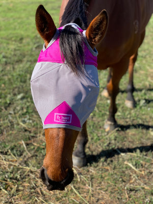 Fly Buster Standard Fly Mask - Raspberry