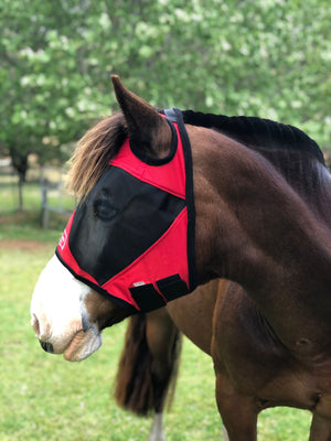 Fly Buster Standard Fly Mask - Red and Black