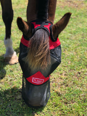 Fly Buster Long Nose Fly Mask - Red and Black