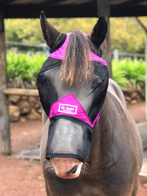 Fly Buster Long Nose Fly Mask - Raspberry and Black