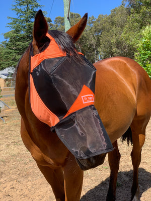 Fly Buster Long Nose Fly Mask - Orange and Black