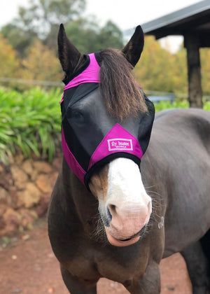 Fly Buster Standard Fly Mask - Raspberry and Black