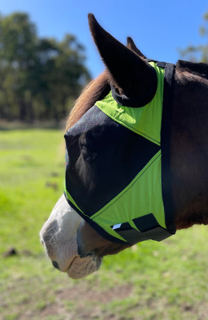 Fly Buster Standard Fly Mask - Lime and Black